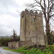 Clara Castle, County Kilkenny built by the the Shorthall family sometime in the late 15th or early 16th century.