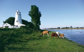 East Bank Lighthouse, known locally as the home of naturalist Sir Peter Scott at Sutton Bridge, Lincolnshire. One of a pair built in 1831 by John Rennie (of Waterloo Bridge fame) to mark the mouth of the river Nene, which is hard to navigate into at high tide or at night.