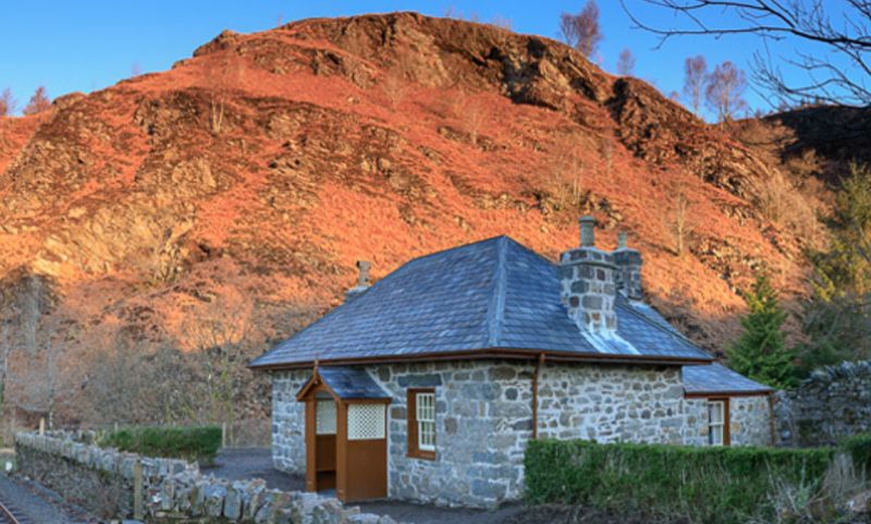 File:CoedyBleiddiau-Snowdonia.jpeg
